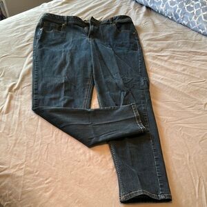 Lane Bryant Blue Skinny Jeans